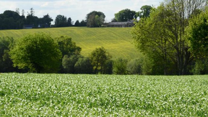 Le guide pratique est composé de 16 fiches techniques, chacune correspond aux 16 exigences de la certification environnementale de niveau 2. © P. MONTIGNY